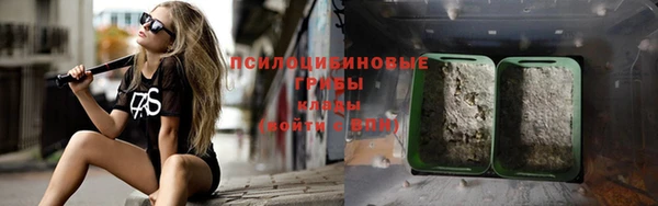 индика Болохово