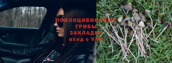 МДПВ Няндома