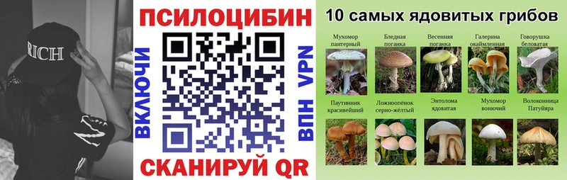 mega ТОР  Закаменск  Галлюциногенные грибы ЛСД  где продают  