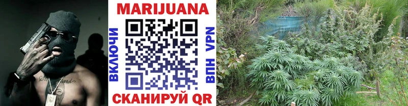 Шишки марихуана Bruce Banner Закаменск